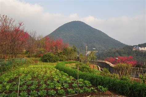 紗帽山